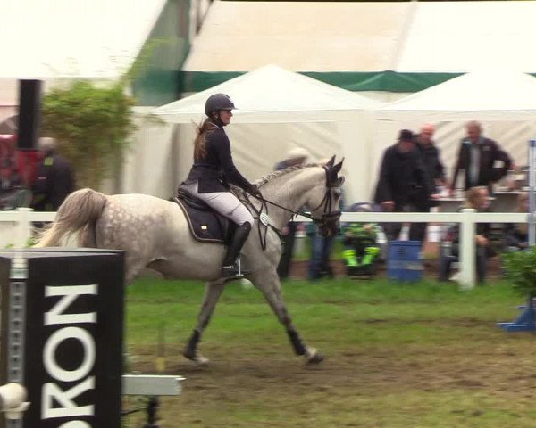 Reitturnier Langstedt-Bollingstedt 2019