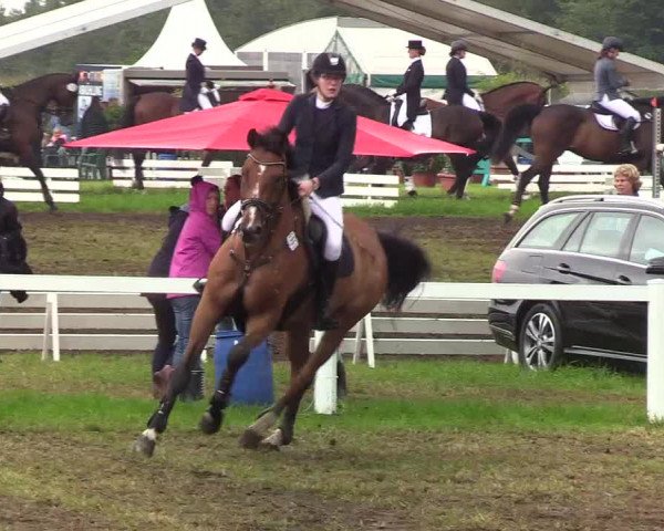 Reitturnier Langstedt-Bollingstedt 2019