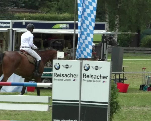 Reitturnier Memmingen/Schw. 2019