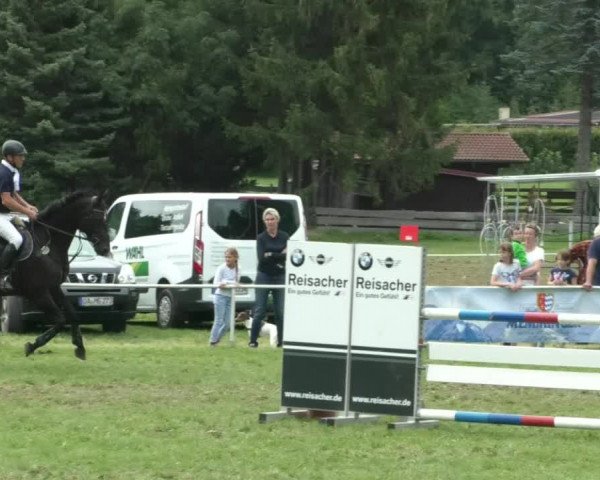 Reitturnier Memmingen/Schw. 2019