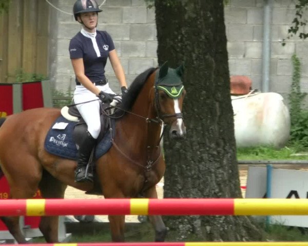Reitturnier Memmingen/Schw. 2019