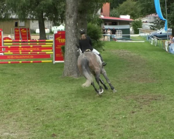 Reitturnier Memmingen/Schw. 2019