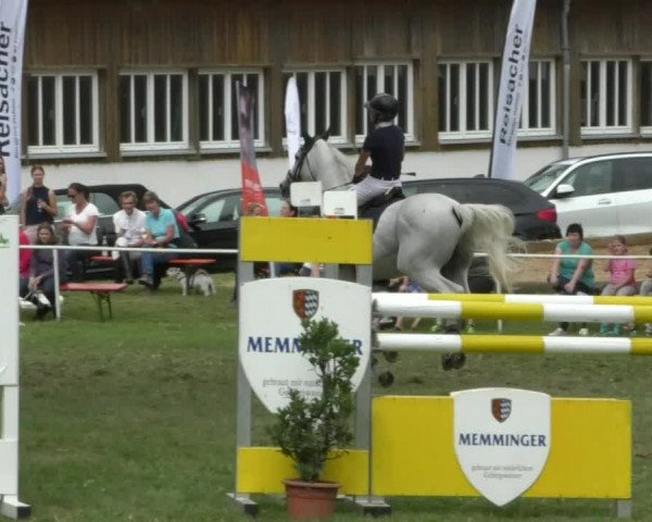 Reitturnier Memmingen/Schw. 2019