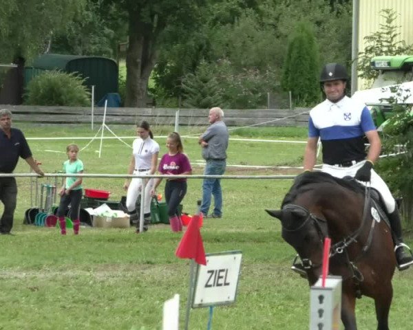Reitturnier Memmingen/Schw. 2019