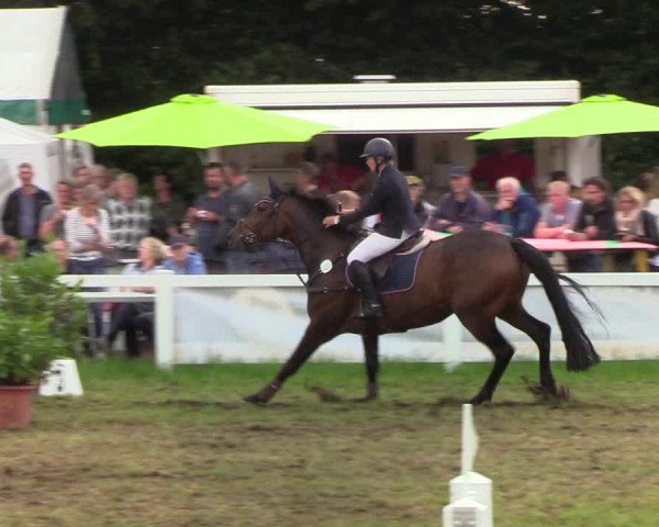Reitturnier Langstedt-Bollingstedt 2019