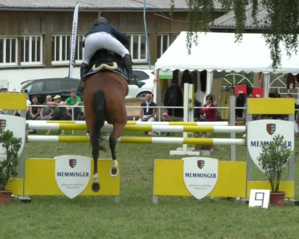 Reitturnier Memmingen/Schw. 2019