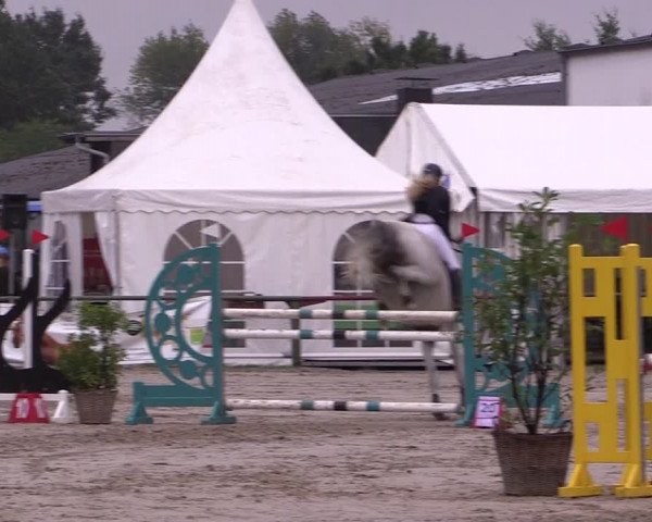 Reitturnier Datteln 2019