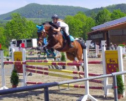 jumper Candellino (Württemberger, 2004, from Candillo Z)