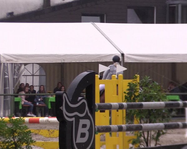 Reitturnier Datteln 2019