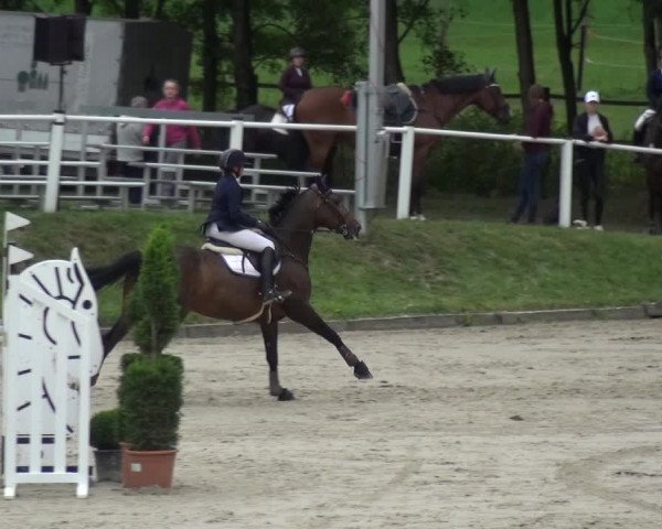 Reitturnier Bergisch Classics - Hebborner Hof 2019