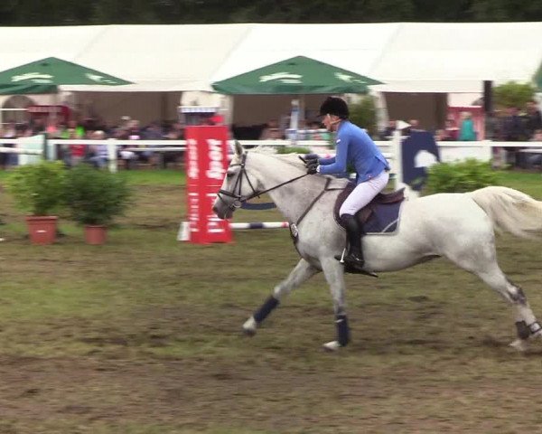 Reitturnier Langstedt-Bollingstedt 2019