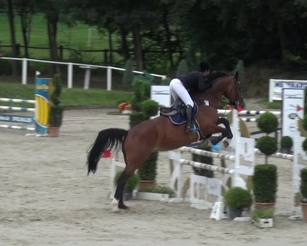 Reitturnier Bergisch Classics - Hebborner Hof 2019