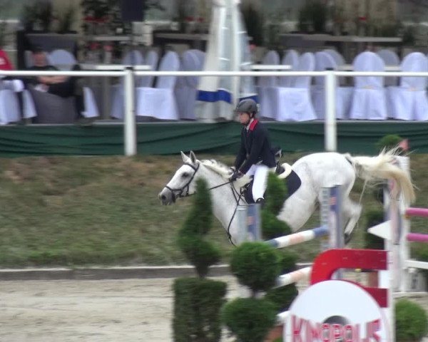 Reitturnier Bergisch Classics - Hebborner Hof 2019