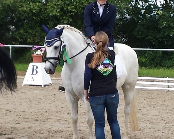 dressage horse Pammy 3 (German Riding Pony, 2003, from Saturn)