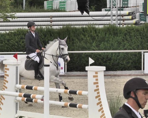Reitturnier Durmersheim-Hardt 2019