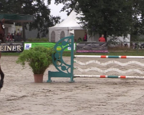 Reitturnier Datteln 2019