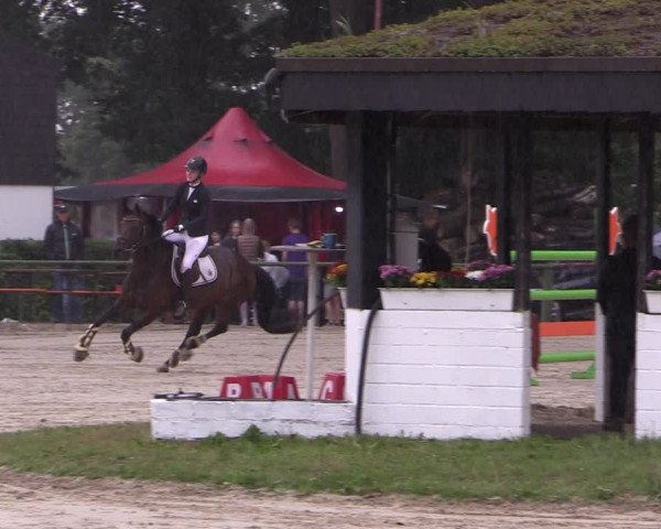 Reitturnier Datteln 2019