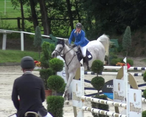 Reitturnier Bergisch Classics - Hebborner Hof 2019