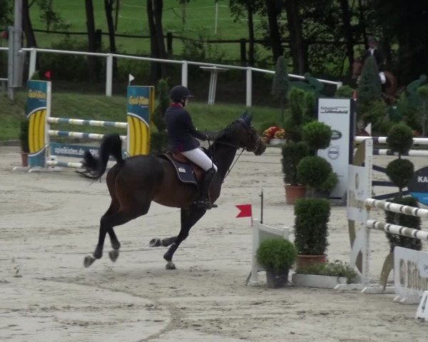 Reitturnier Bergisch Classics - Hebborner Hof 2019