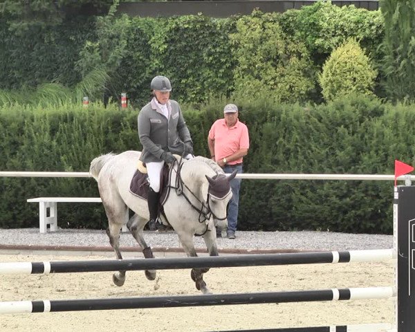 Reitturnier Durmersheim-Hardt 2019