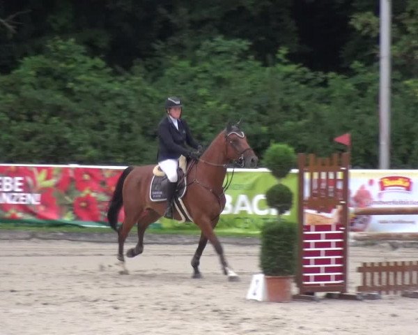 Reitturnier Bergisch Classics - Hebborner Hof 2019