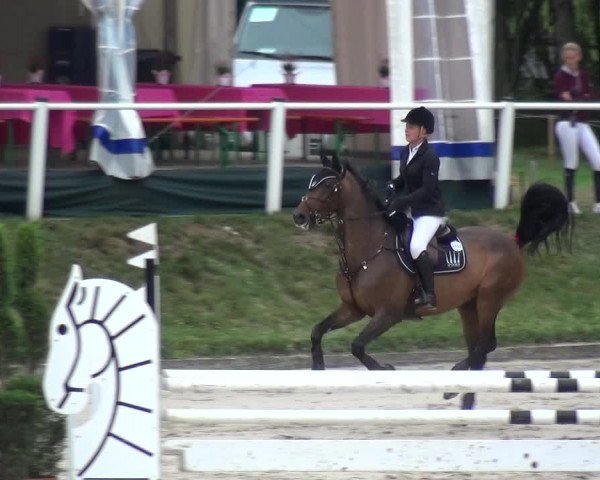 Reitturnier Bergisch Classics - Hebborner Hof 2019