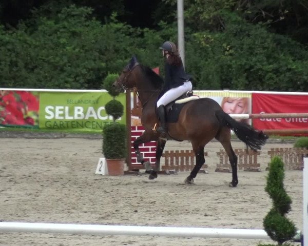 Reitturnier Bergisch Classics - Hebborner Hof 2019