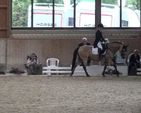 Reitturnier Bergisch Classics - Hebborner Hof 2019