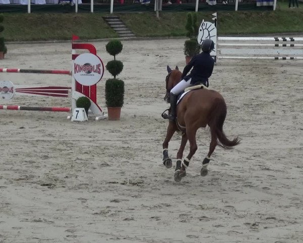 Reitturnier Bergisch Classics - Hebborner Hof 2019