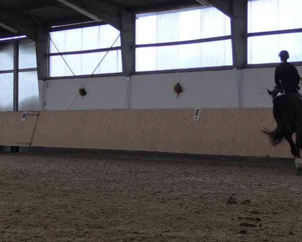 Reitturnier Datteln 2019