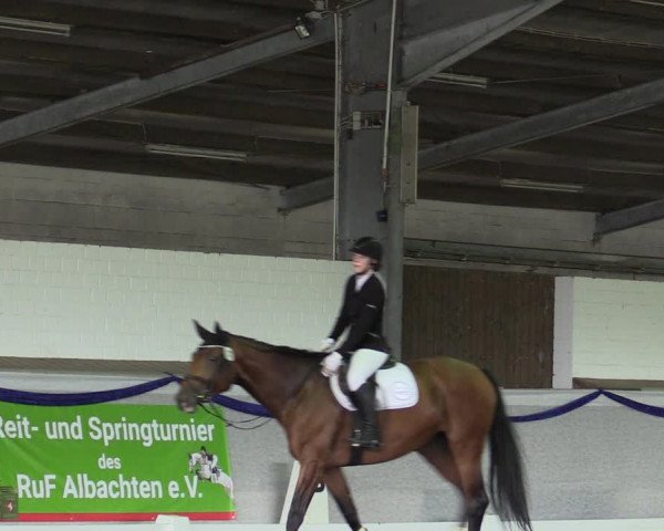 Reitturnier Münster-Albachten 2019