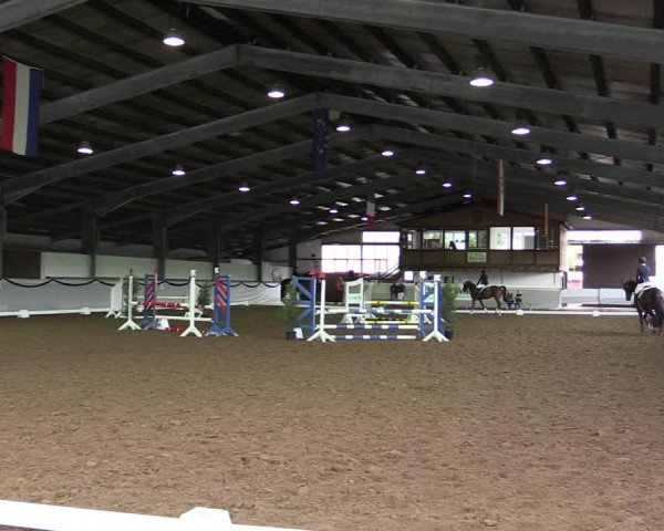 Reitturnier Münster-Albachten 2019