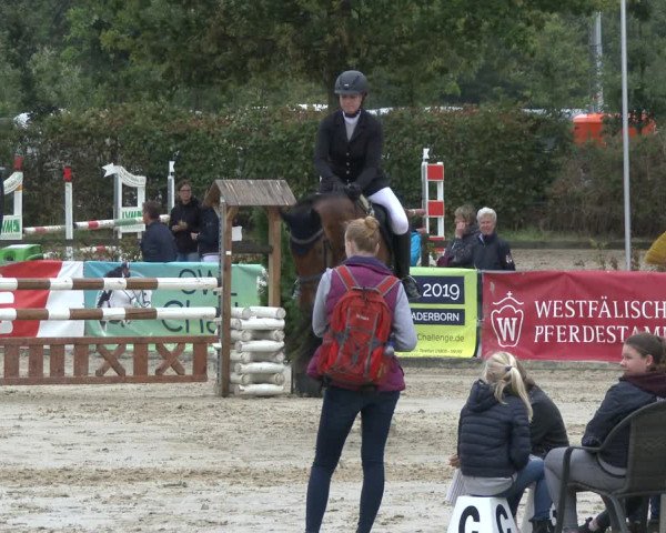 Reitturnier Münster-Albachten 2019
