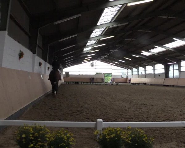 Reitturnier Datteln 2019