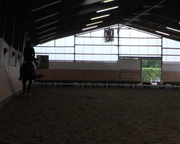Reitturnier Datteln 2019