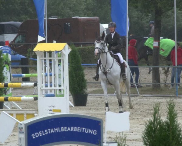 Reitturnier Münster-Albachten 2019