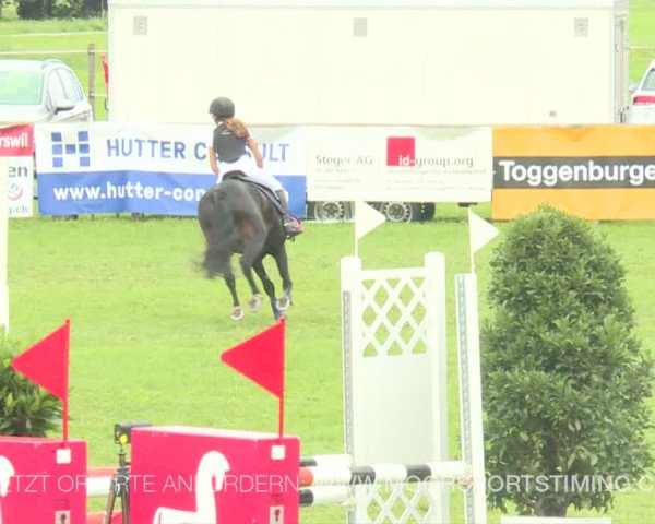 Reitturnier Aadorf 2019