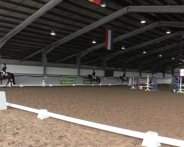 Reitturnier Münster-Albachten 2019