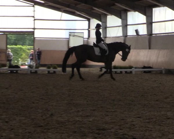 Reitturnier Datteln 2019
