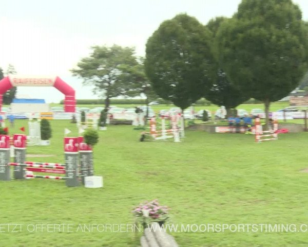 Reitturnier Aadorf 2019