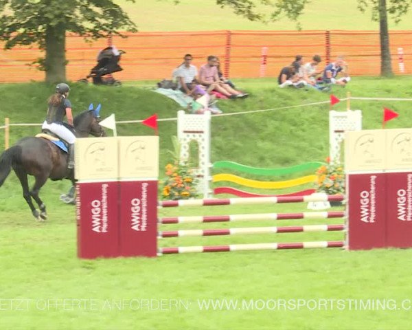 Reitturnier Aadorf 2019
