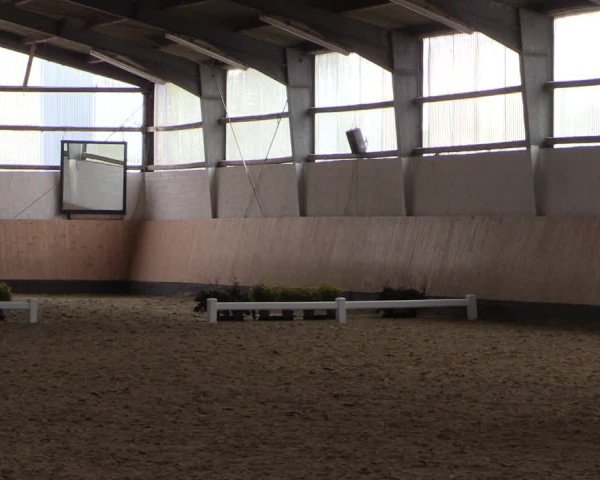 Reitturnier Datteln 2019