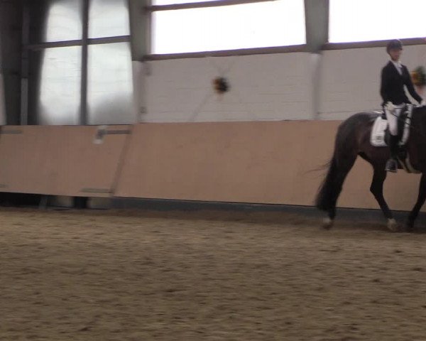 Reitturnier Datteln 2019