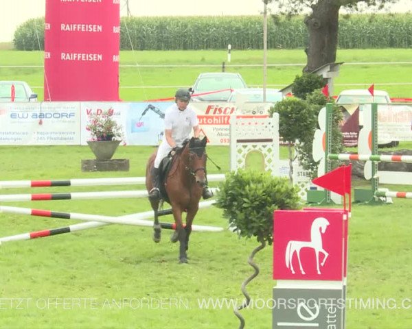 Reitturnier Aadorf 2019
