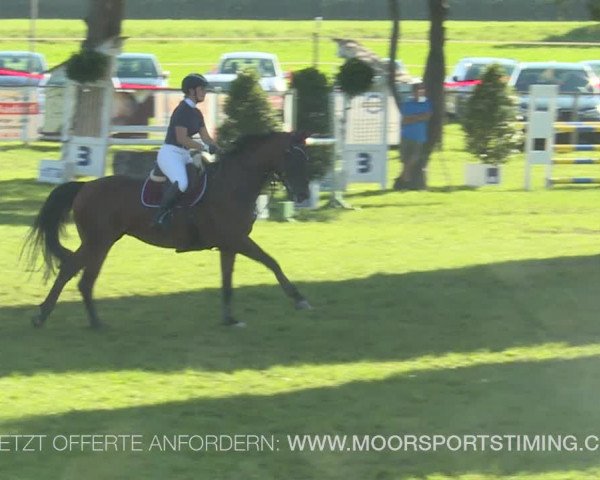 Reitturnier Aadorf 2019