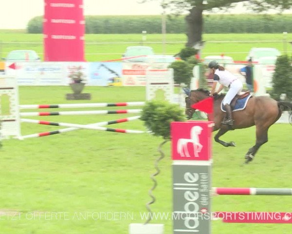 Reitturnier Aadorf 2019