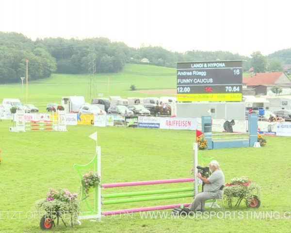 Reitturnier Aadorf 2019