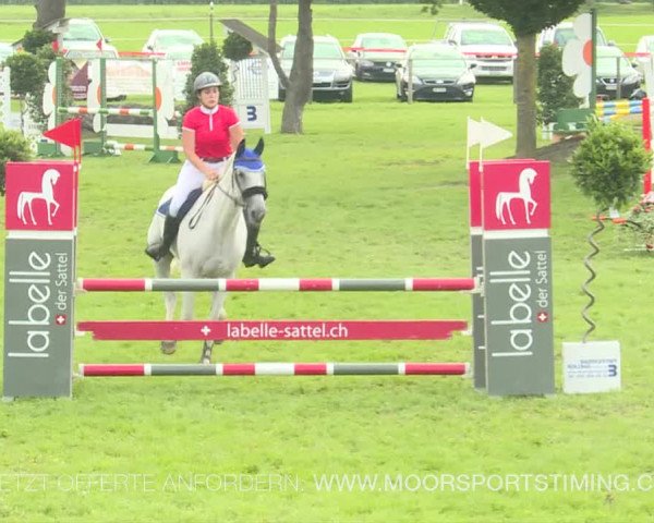 Reitturnier Aadorf 2019