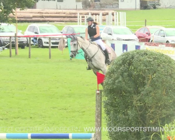 Reitturnier Aadorf 2019
