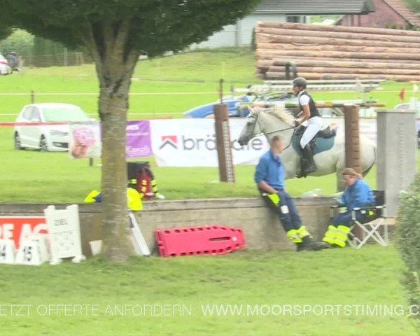 Reitturnier Aadorf 2019